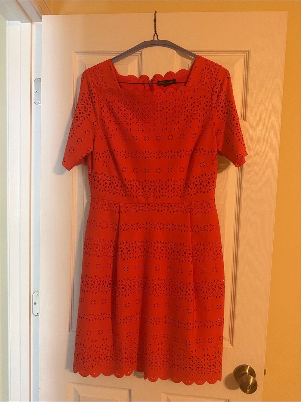 Women’s Orange Scallop-Hem Fit & Flare Dress